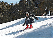 Auli Travel Package