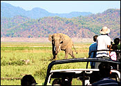 Corbett Camps
