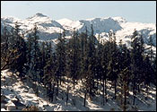 Pauri Travel