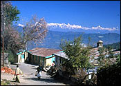Ranikhet Travel