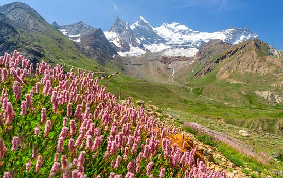 Valley of Flower Travel