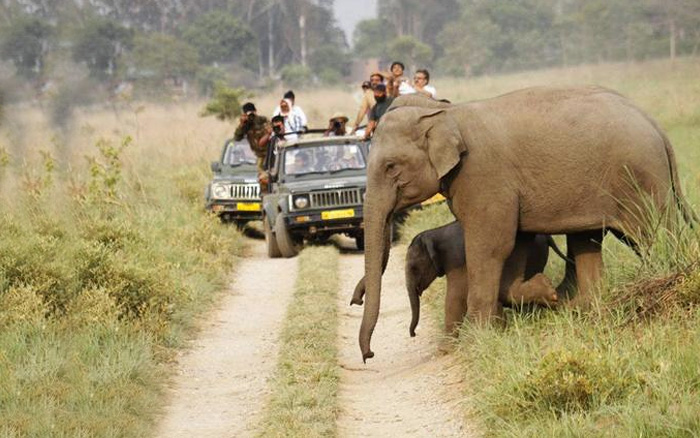 Corbett Camp Tour